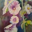 Hollyhocks IV