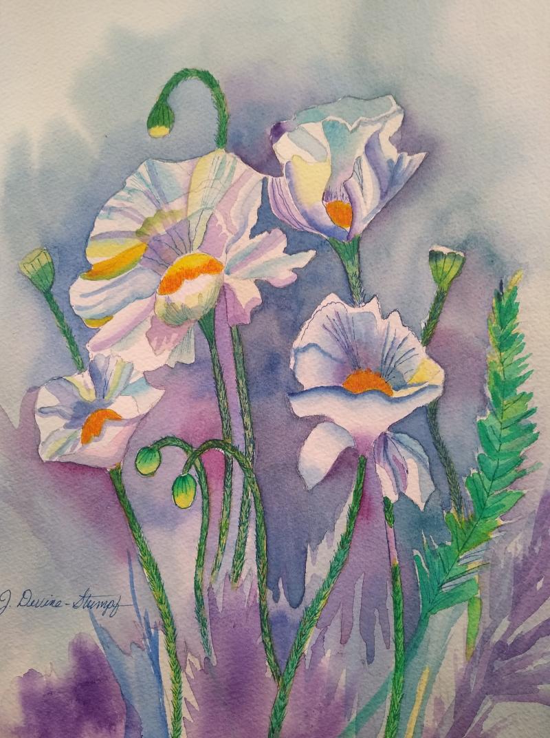 Prickly Poppies