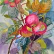 Apples