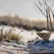 Beaver Dam
