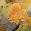 Cactus Flower