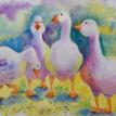 Gaggle
