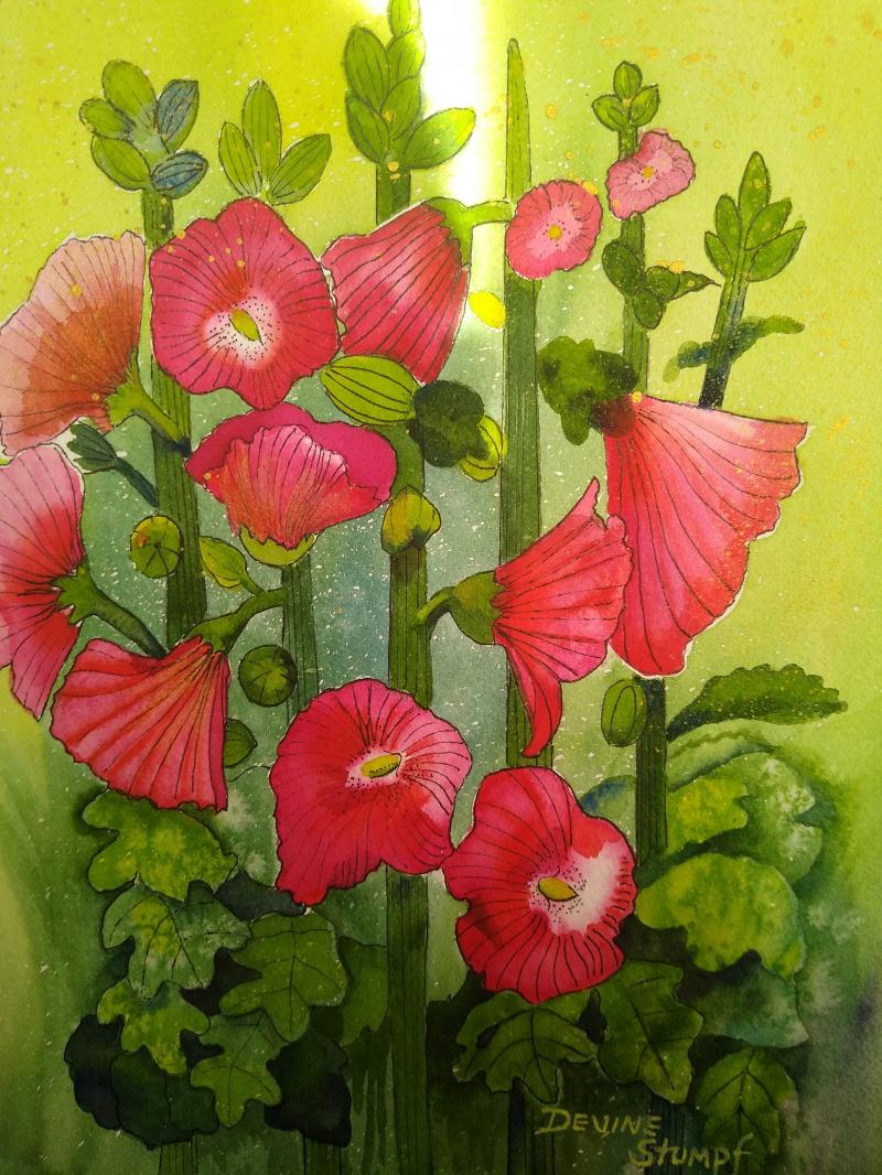 Christmas Hollyhocks