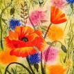 Poppies