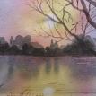 Reflections