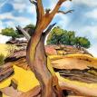 Rons Tree
